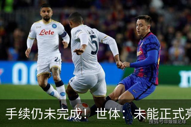 手续仍未完成！世体：未能正式亮相诺坎普，坎塞洛颇为不满