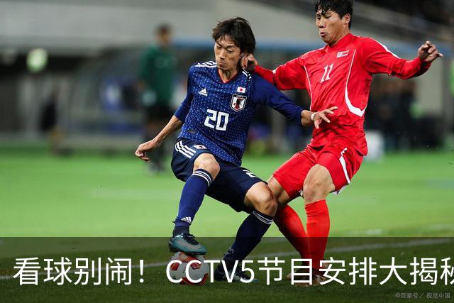 看球别闹！CCTV5节目安排大揭秘