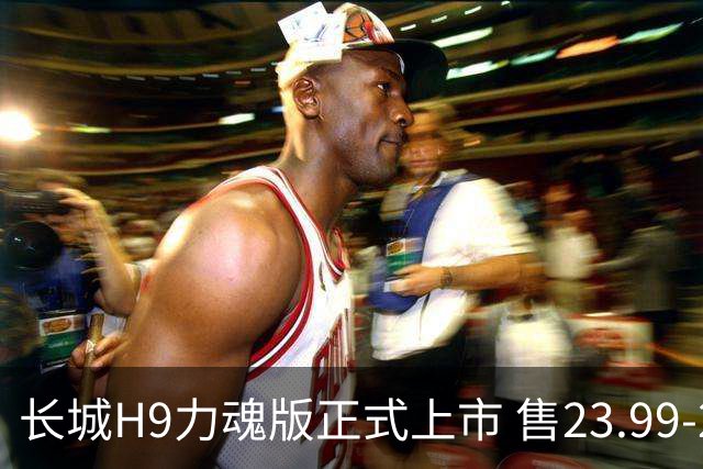 长城H9力魂版正式上市 售23.99-25.79万元