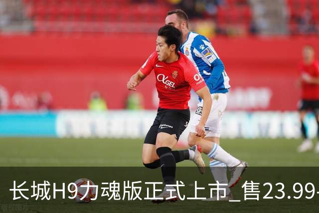 长城H9力魂版正式上市 售23.99-25.79万元